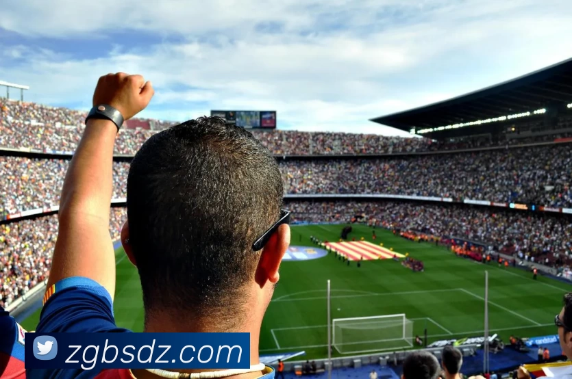 星空体育平台生态图